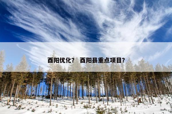 酉阳优化？ 酉阳县重点项目？