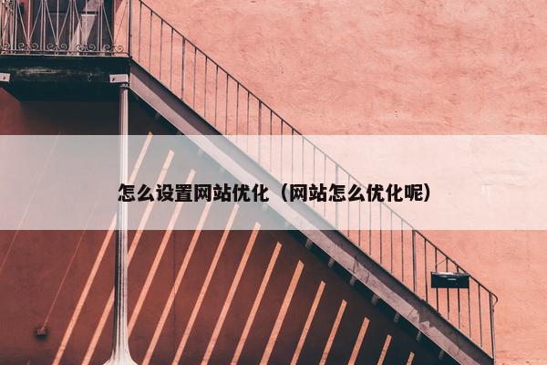 怎么设置网站优化（网站怎么优化呢）