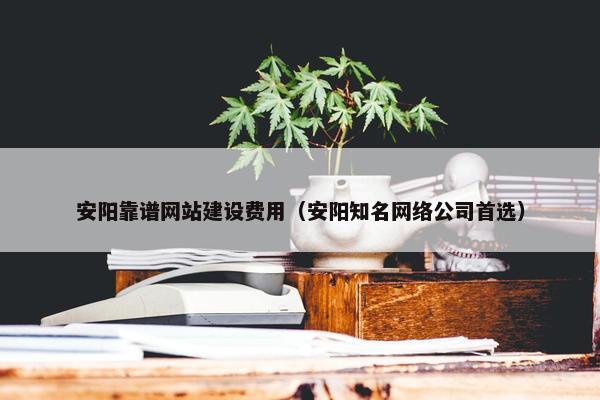 安阳靠谱网站建设费用（安阳知名网络公司首选）