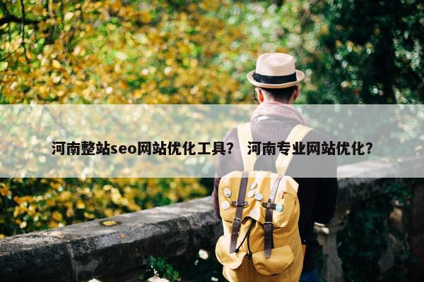 河南整站seo网站优化工具？ 河南专业网站优化？