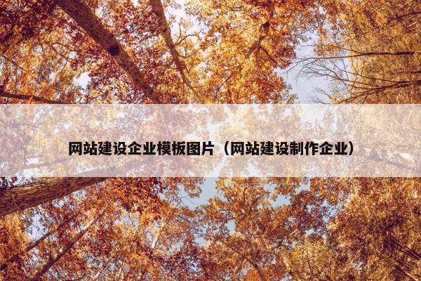 网站建设企业模板图片（网站建设制作企业）