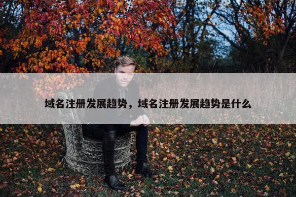 域名注册发展趋势，域名注册发展趋势是什么