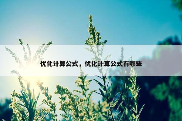 优化计算公式，优化计算公式有哪些