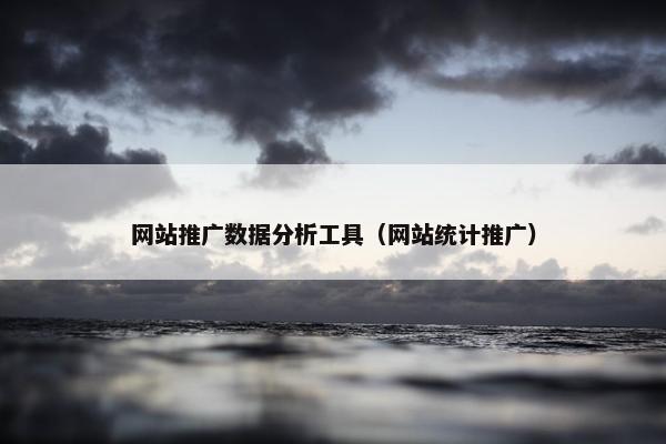 网站推广数据分析工具（网站统计推广）