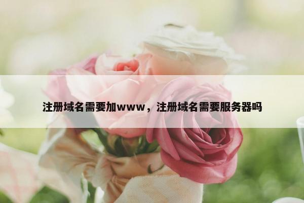 注册域名需要加www，注册域名需要服务器吗