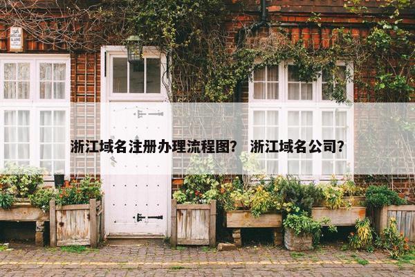 浙江域名注册办理流程图？ 浙江域名公司？
