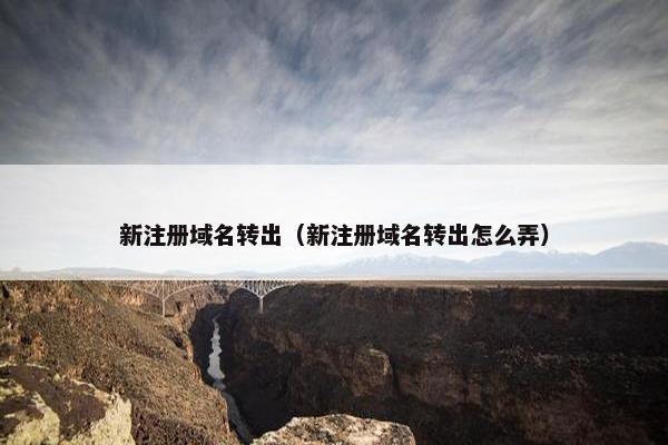 新注册域名转出（新注册域名转出怎么弄）
