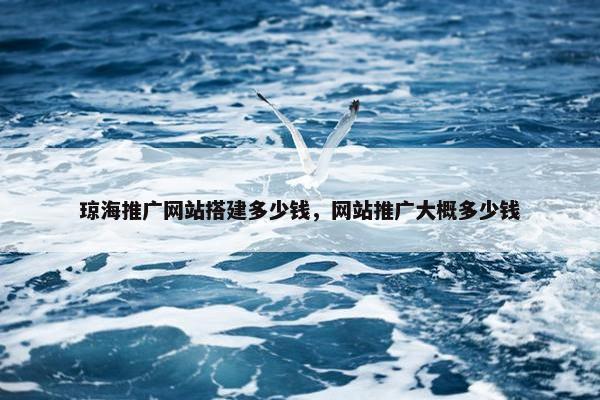 琼海推广网站搭建多少钱，网站推广大概多少钱