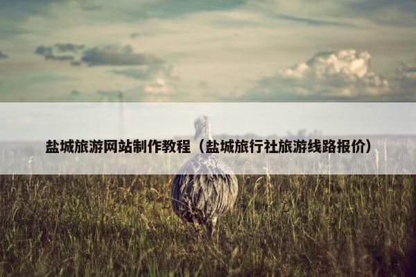 盐城旅游网站制作教程（盐城旅行社旅游线路报价）