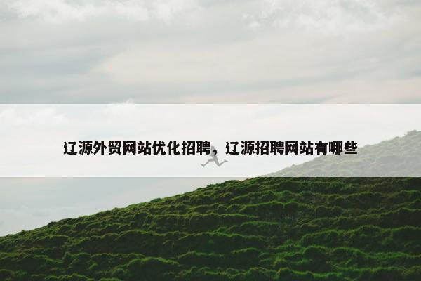辽源外贸网站优化招聘，辽源招聘网站有哪些