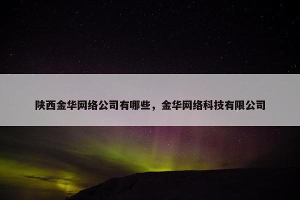 陕西金华网络公司有哪些，金华网络科技有限公司