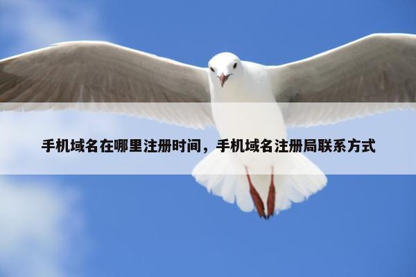 手机域名在哪里注册时间，手机域名注册局联系方式