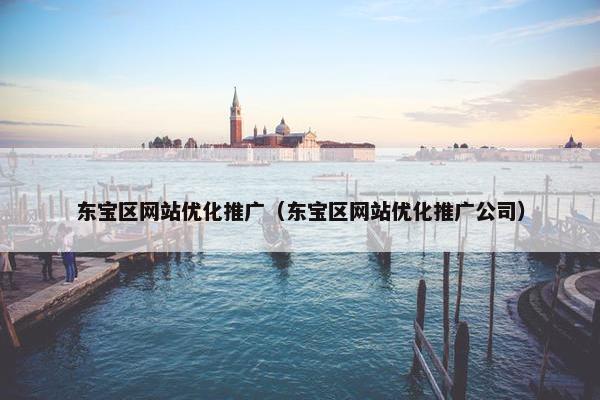 东宝区网站优化推广（东宝区网站优化推广公司）