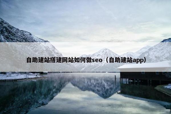 自助建站搭建网站如何做seo（自助建站app）