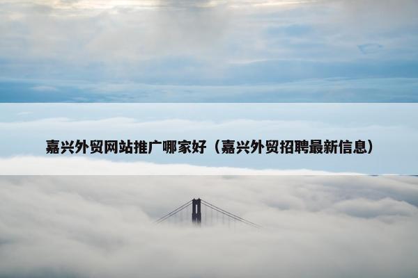 嘉兴外贸网站推广哪家好（嘉兴外贸招聘最新信息）