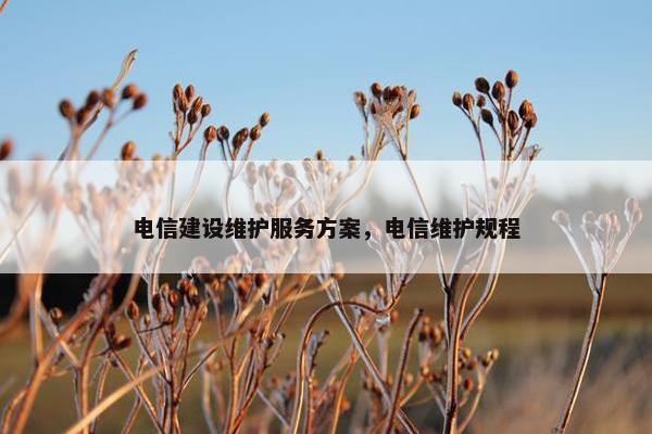 电信建设维护服务方案，电信维护规程