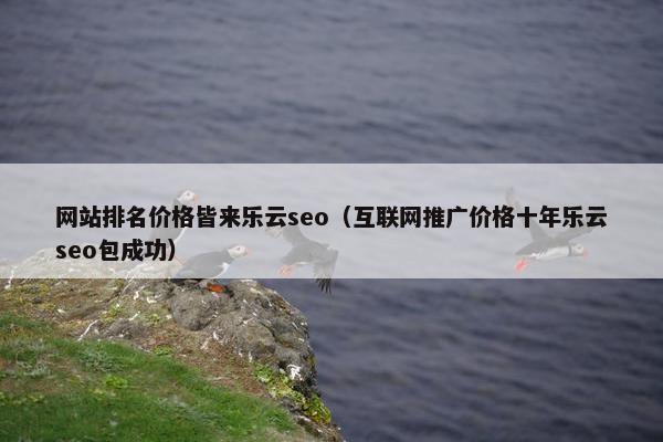 网站排名价格皆来乐云seo（互联网推广价格十年乐云seo包成功）