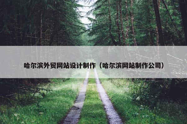 哈尔滨外贸网站设计制作（哈尔滨网站制作公司）