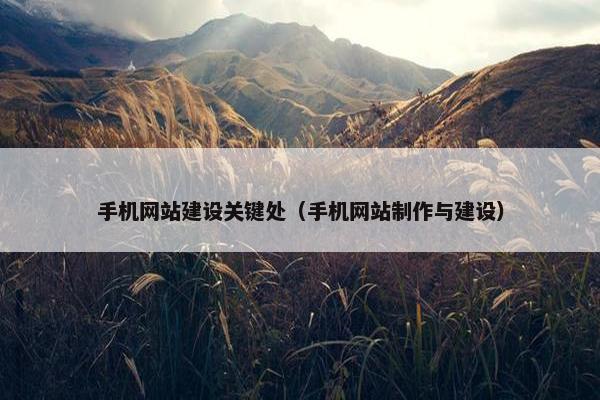 手机网站建设关键处（手机网站制作与建设）
