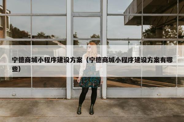 宁德商城小程序建设方案（宁德商城小程序建设方案有哪些）