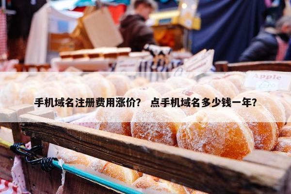 手机域名注册费用涨价？ 点手机域名多少钱一年？