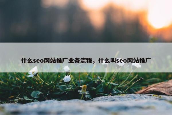 什么seo网站推广业务流程，什么叫seo网站推广