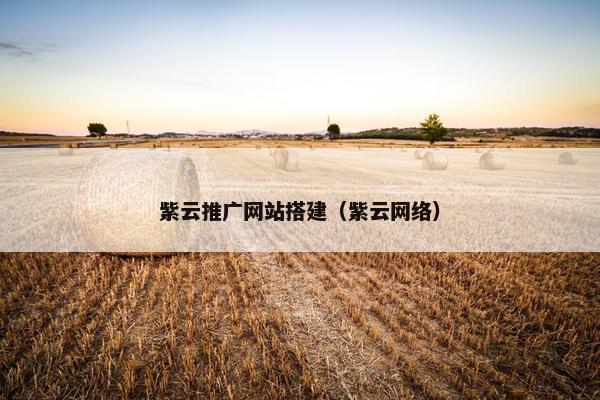 紫云推广网站搭建（紫云网络）