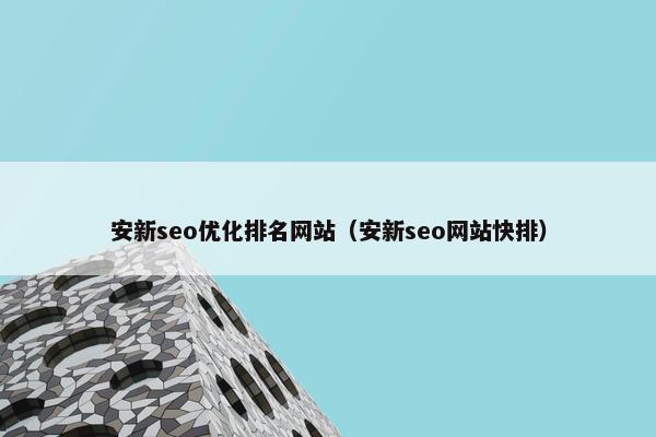 安新seo优化排名网站（安新seo网站快排）