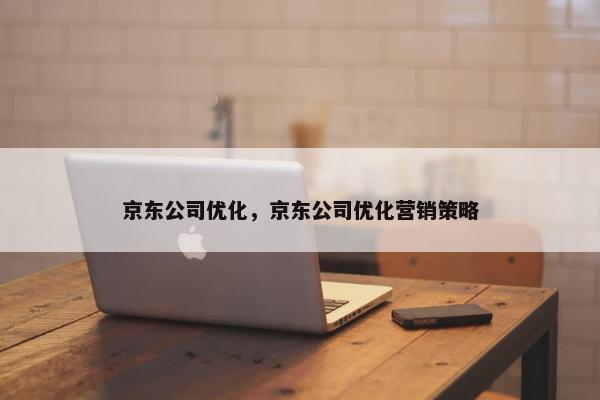京东公司优化，京东公司优化营销策略