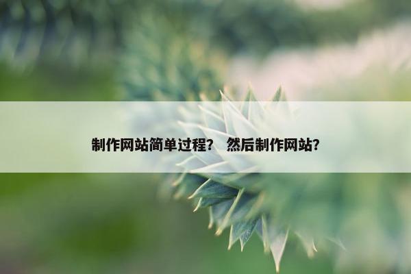 制作网站简单过程？ 然后制作网站？