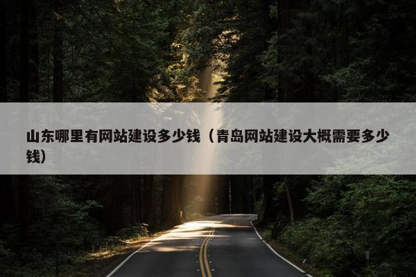 山东哪里有网站建设多少钱（青岛网站建设大概需要多少钱）