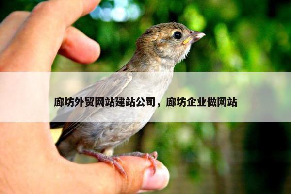 廊坊外贸网站建站公司，廊坊企业做网站