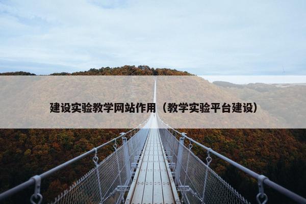 建设实验教学网站作用（教学实验平台建设）
