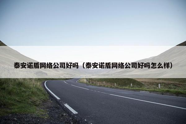 泰安诺盾网络公司好吗（泰安诺盾网络公司好吗怎么样）