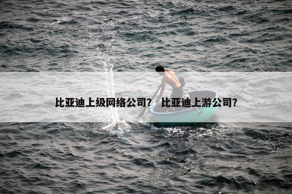 比亚迪上级网络公司？ 比亚迪上游公司？