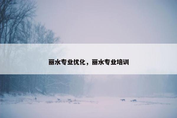 丽水专业优化，丽水专业培训
