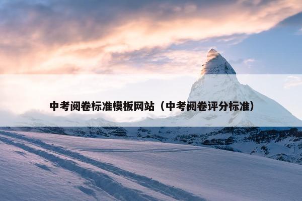 中考阅卷标准模板网站（中考阅卷评分标准）