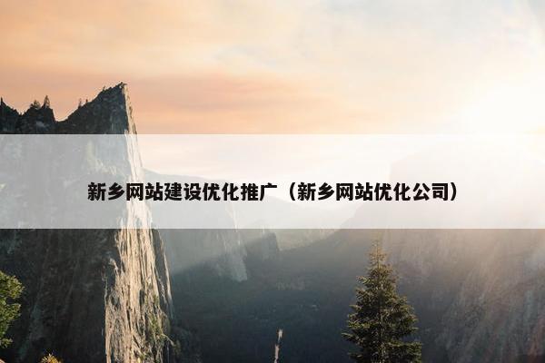 新乡网站建设优化推广（新乡网站优化公司）