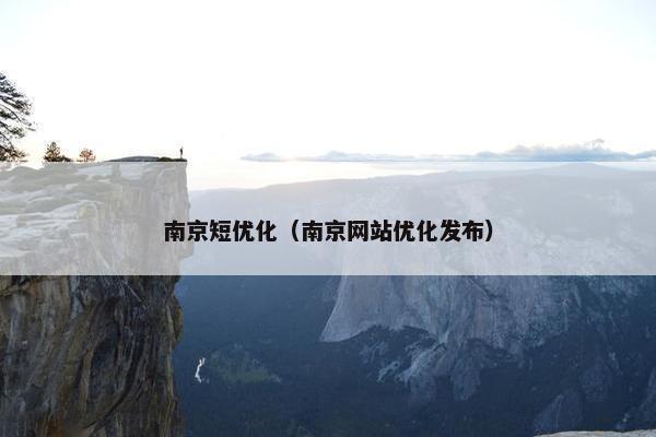 南京短优化（南京网站优化发布）