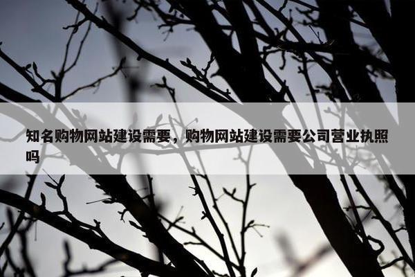 知名购物网站建设需要，购物网站建设需要公司营业执照吗