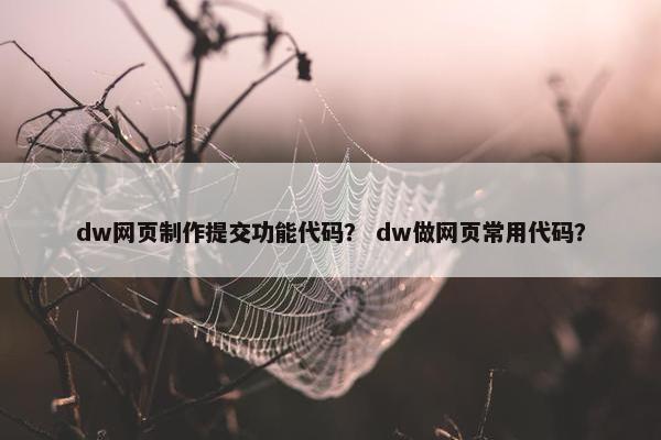 dw网页制作提交功能代码？ dw做网页常用代码？