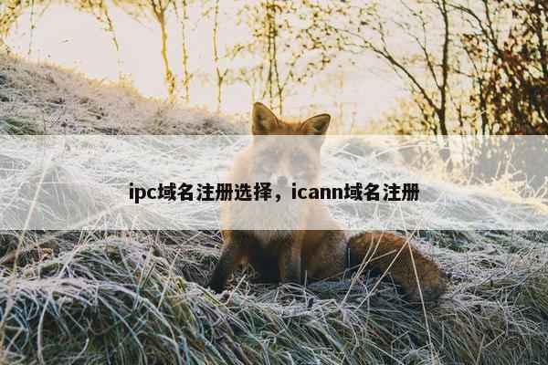 ipc域名注册选择，icann域名注册