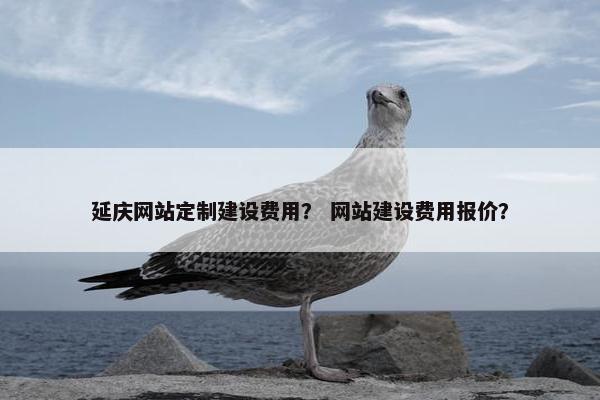 延庆网站定制建设费用？ 网站建设费用报价？
