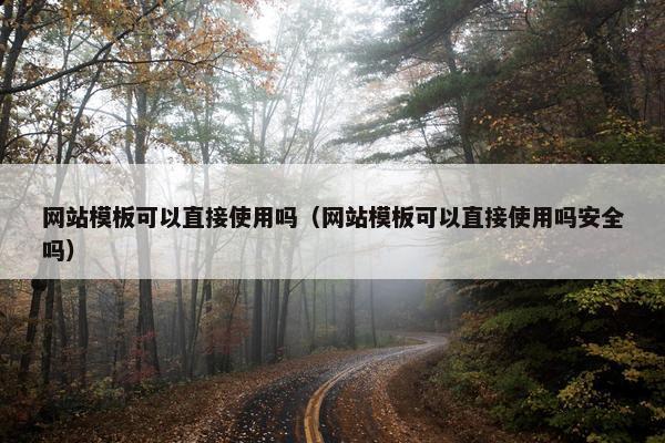 网站模板可以直接使用吗（网站模板可以直接使用吗安全吗）