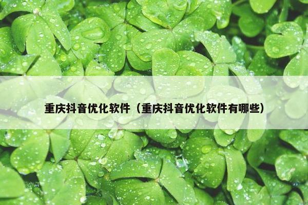 重庆抖音优化软件（重庆抖音优化软件有哪些）