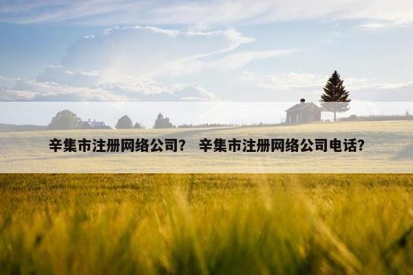 辛集市注册网络公司？ 辛集市注册网络公司电话？
