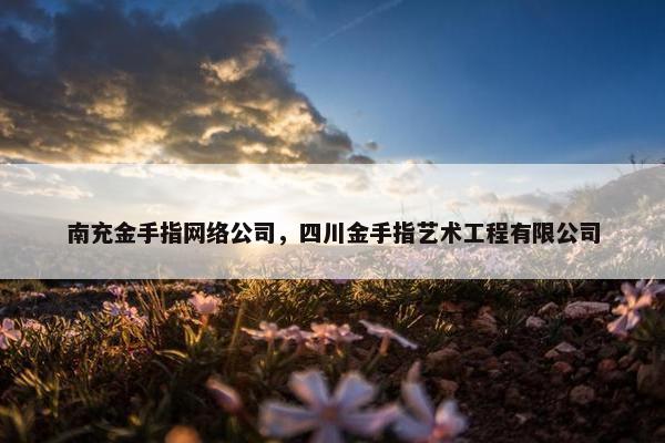 南充金手指网络公司，四川金手指艺术工程有限公司
