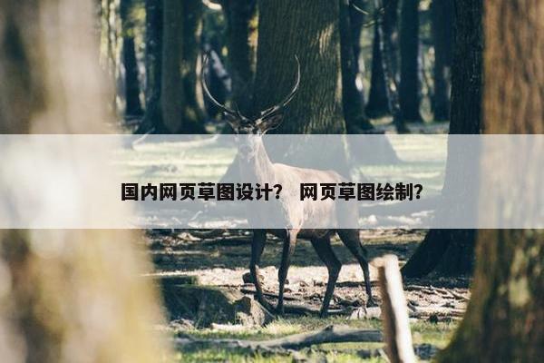 国内网页草图设计？ 网页草图绘制？