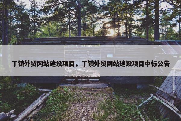 丁镇外贸网站建设项目，丁镇外贸网站建设项目中标公告