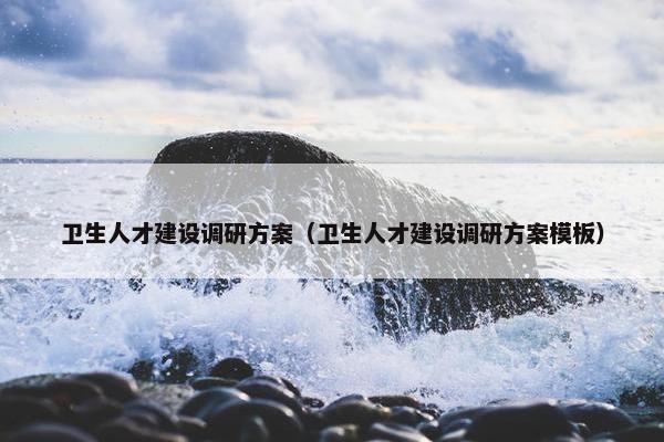卫生人才建设调研方案（卫生人才建设调研方案模板）